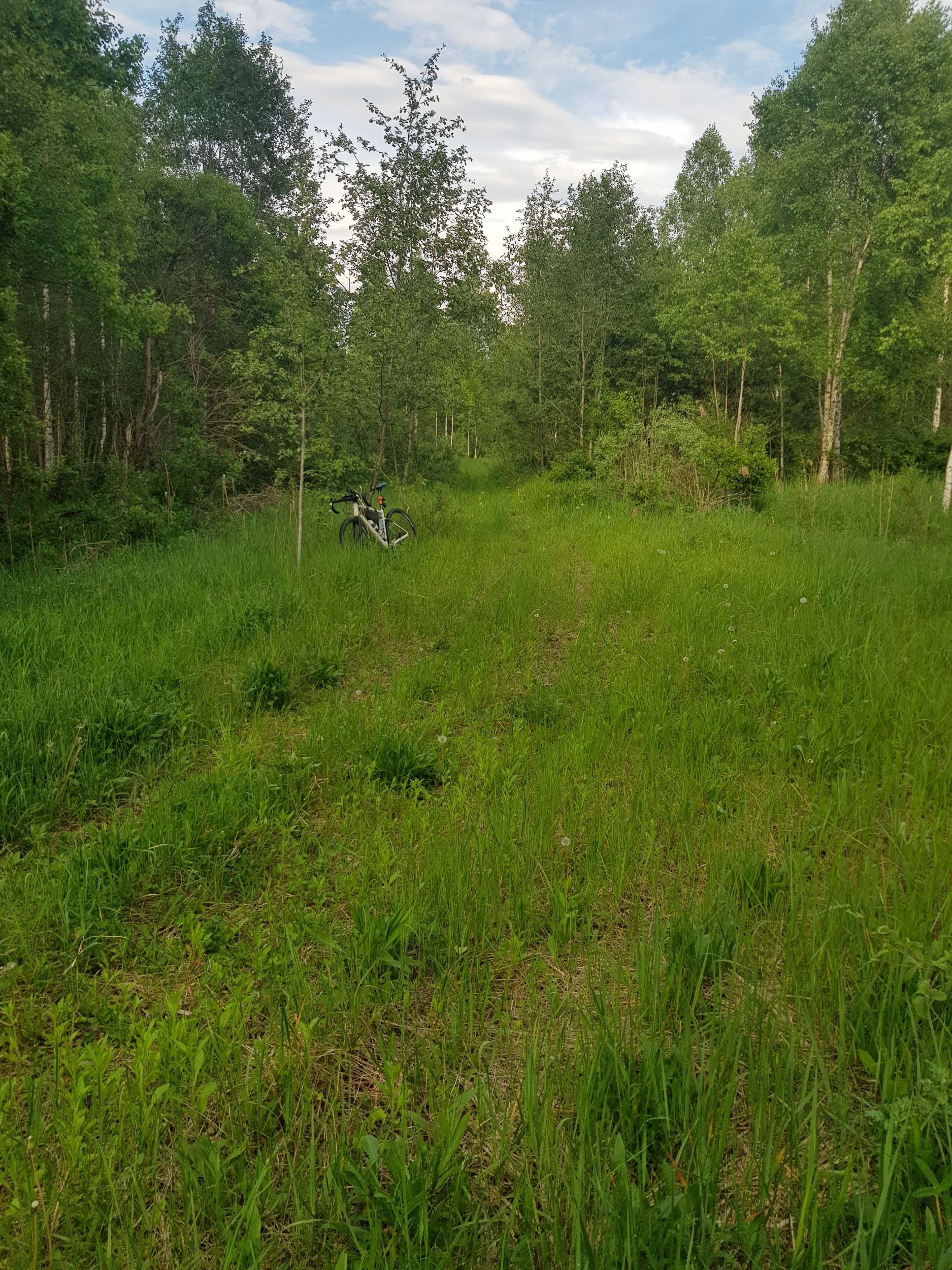 20240522_175204.jpg