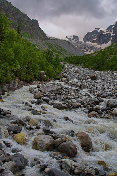 _DSC0331-.jpg