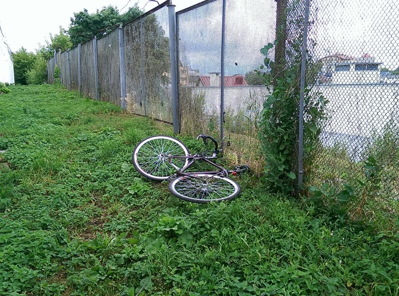 IMAG2644.jpg