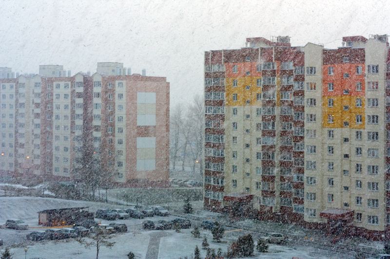 IMG_7100_web.jpg
