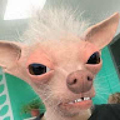 sitkoronka