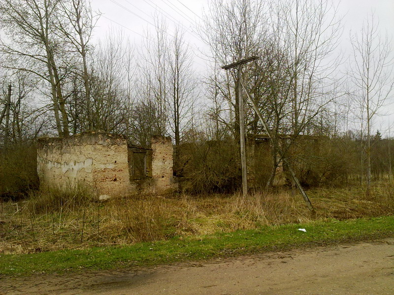 17_29.jpg