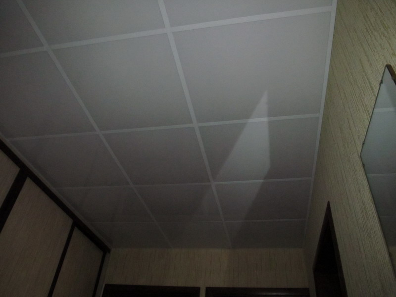 IMG_1254_resize.JPG