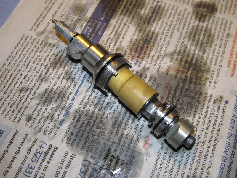 Fox_F100X_brain_7.JPG