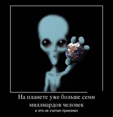936683_863299193730680_1762320305489914021_n.jpg