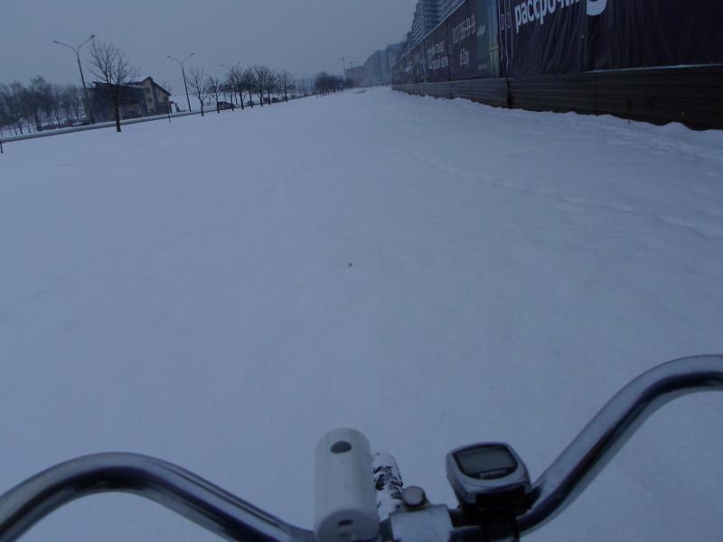 SAM_2403_2.jpg