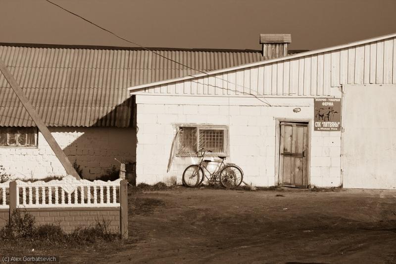 20111107_1129301_std.jpg