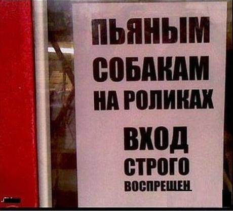 1806_900.jpg