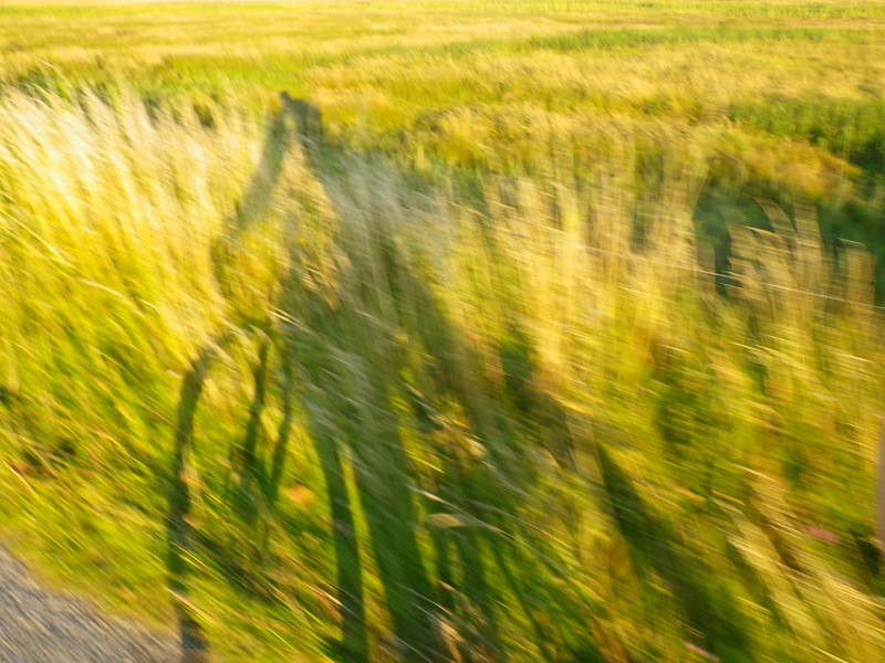 0_65a96_a99b14a5_XL.jpg