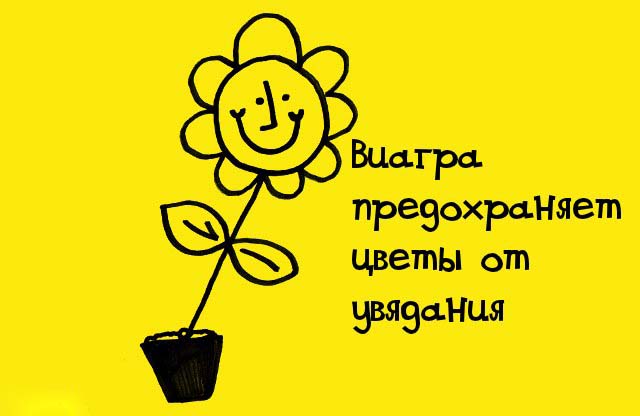 0_6bd43_17816118_orig.jpg