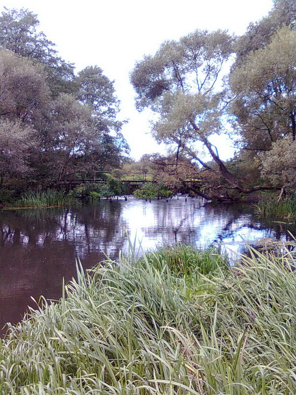 Foto002_6.jpg