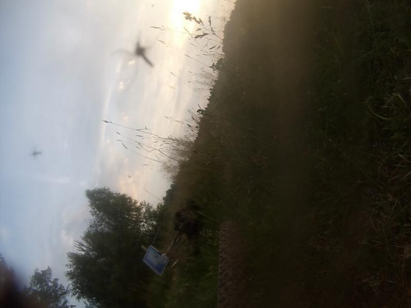 GP010002.MP4_snapshot_06.51_2013.06.25_22.23.07.jpg